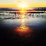 Endless Summer