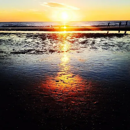 Endless Summer