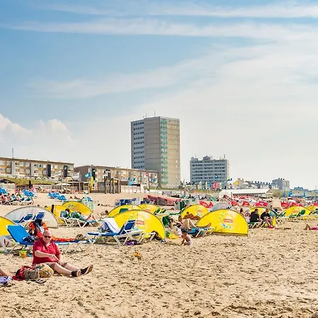 Endless Summer Zandvoort