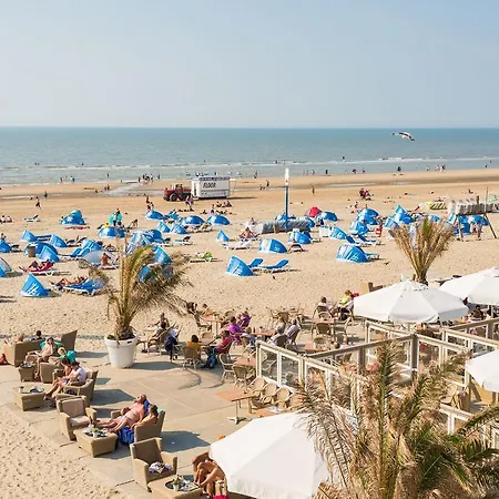 شقة Endless Summer